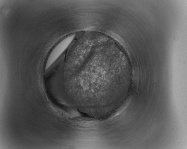 X0000089680577200707201702