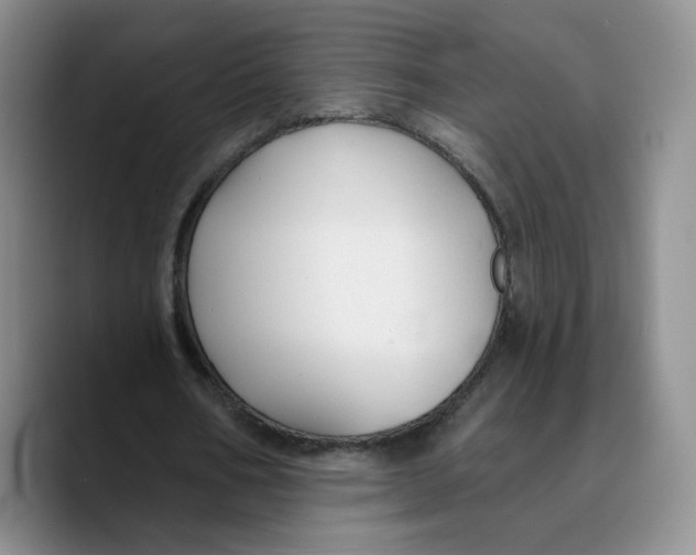 X0000089680578200707201702