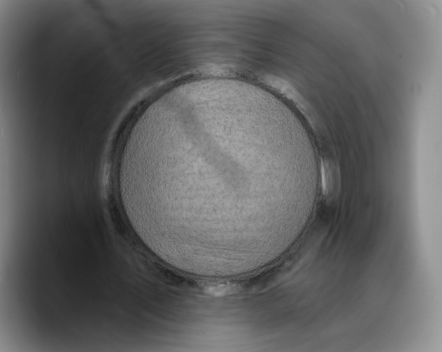 X0000089680579200707201702