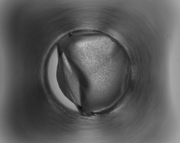X0000089680580200707201702