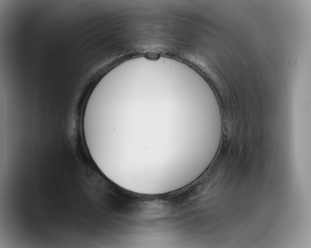 X0000089680583200707201701
