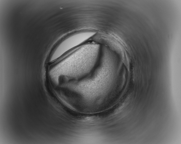X0000089680584200707201701