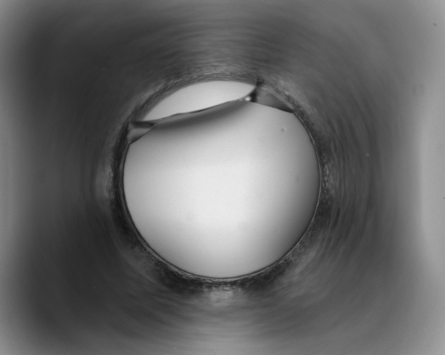 X0000089680587200707201701
