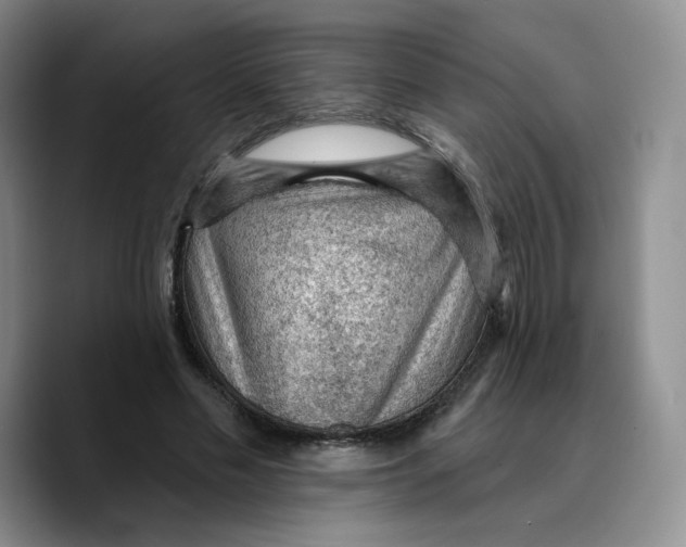 X0000089680589200707201701