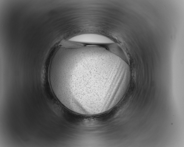 X0000089680591200707201701