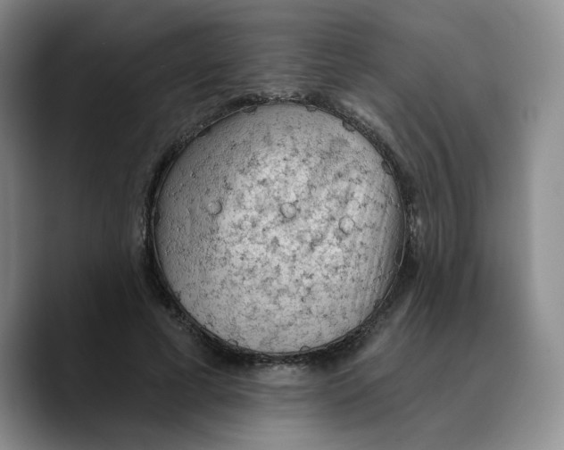 X0000089680593200707201701