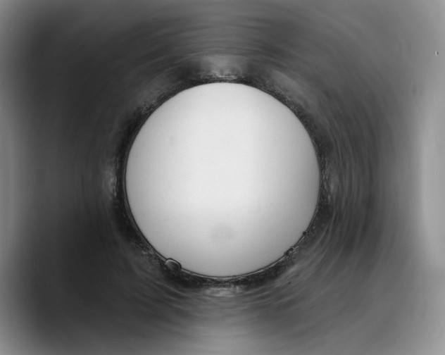 X0000089680595200707201701