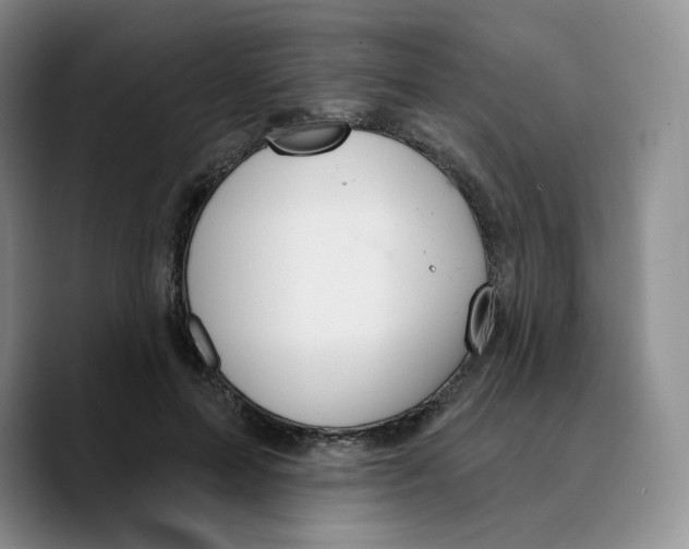 X0000089680599200707201701