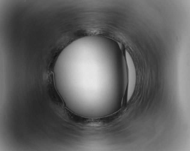 X0000089680601200707201701
