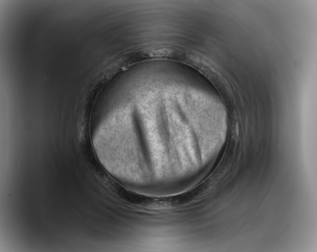 X0000089680604200707201701