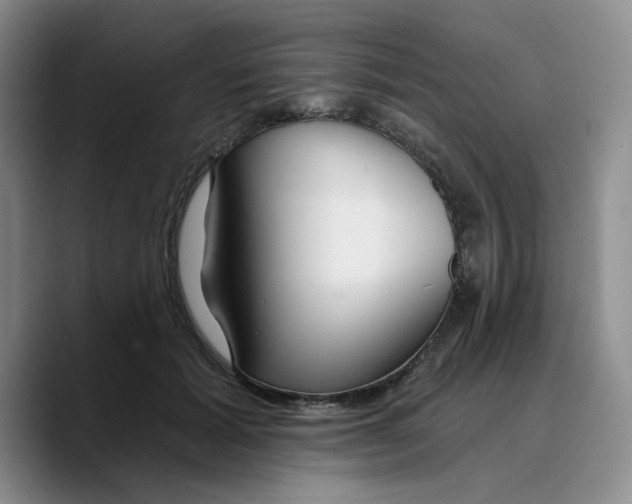 X0000089680605200707201701