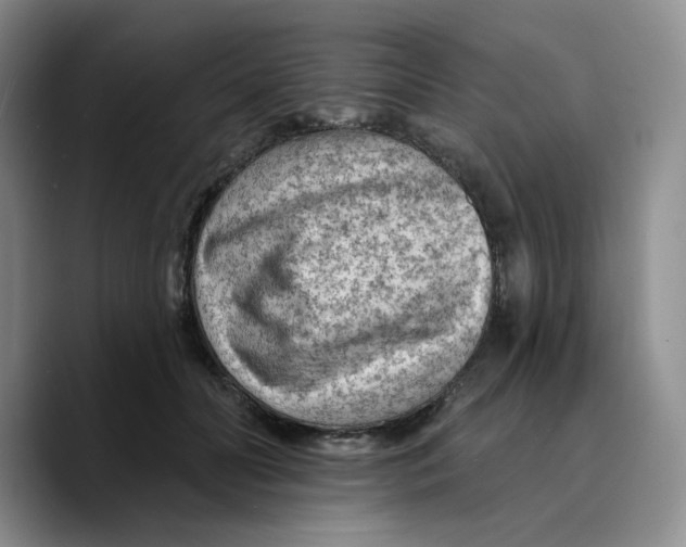 X0000089680606200707201701