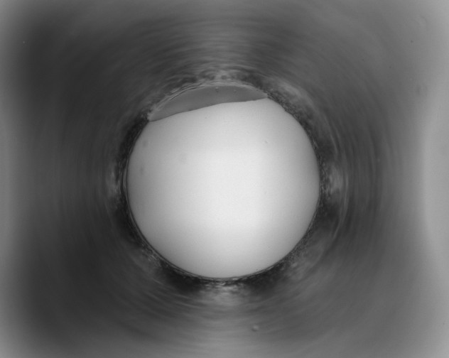 X0000089680607200707201701