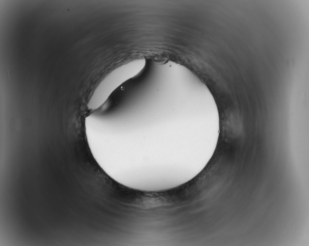 X0000089680608200707201701