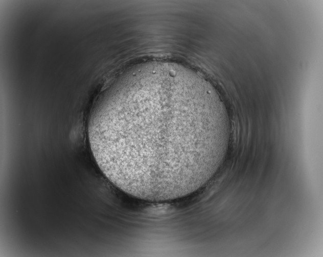 X0000089680609200707201701