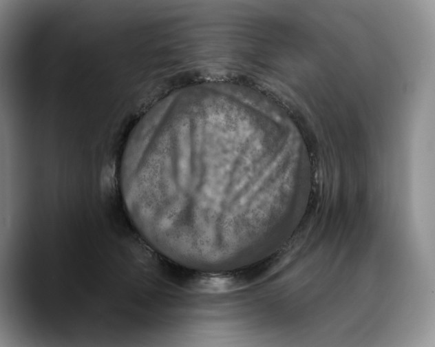 X0000089680610200707201701