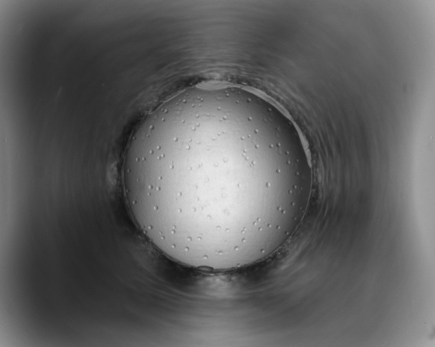 X0000089680611200707201701