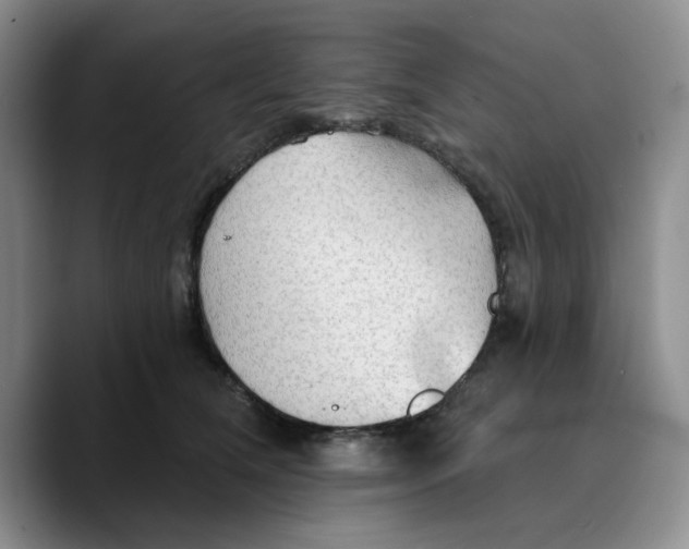 X0000089680612200707201701