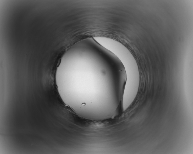 X0000089680613200707201701