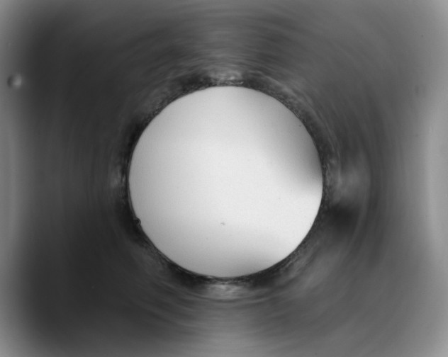 X0000089680614200707201701
