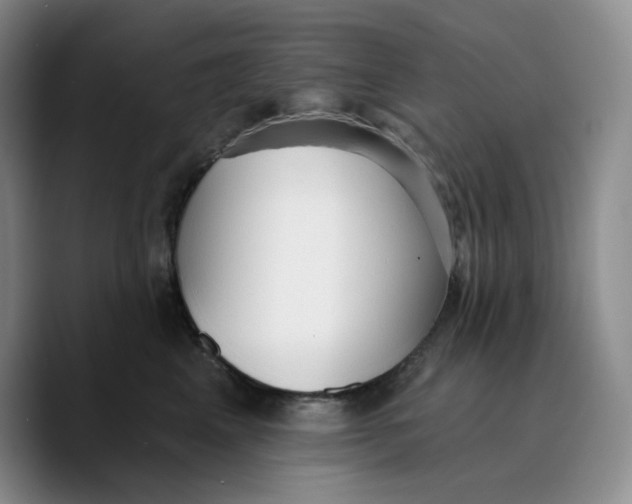 X0000089680617200707201701