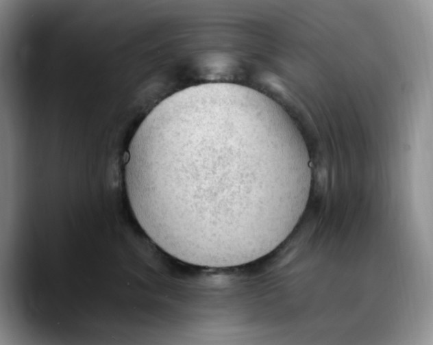 X0000089680620200707201701