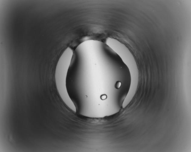 X0000089680621200707201701