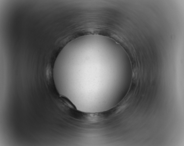 X0000089680623200707201701