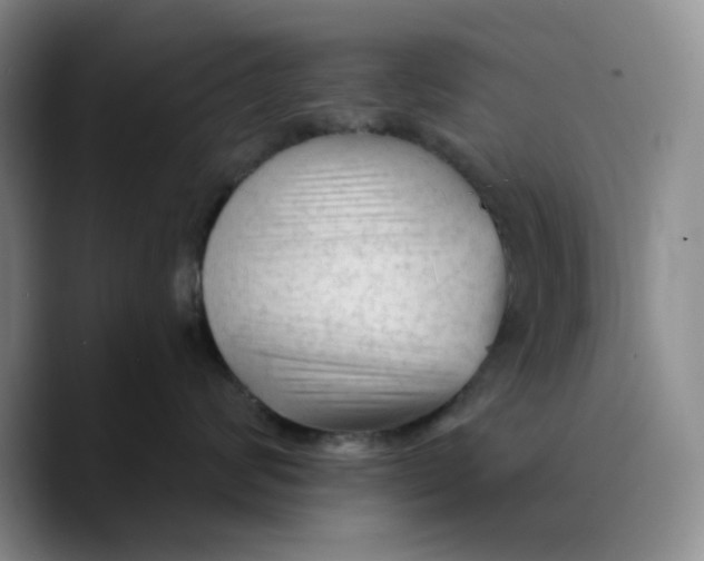 X0000089680624200707201701