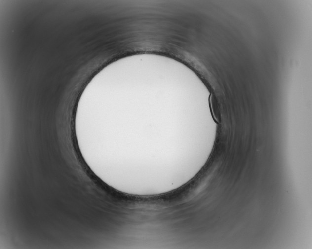 X0000089680625200707201700