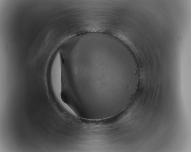 X0000089680626200707201700