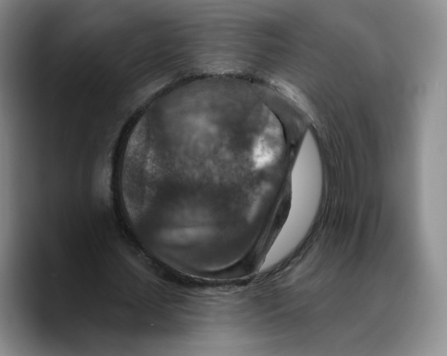 X0000089680627200707201700