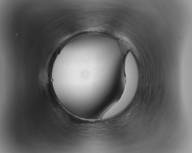 X0000089680628200707201700