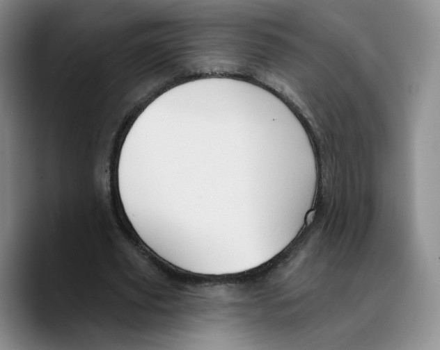 X0000089680629200707201700