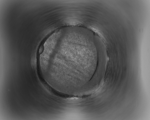 X0000089680630200707201700