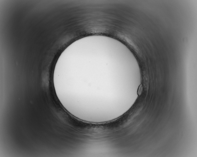 X0000089680631200707201700