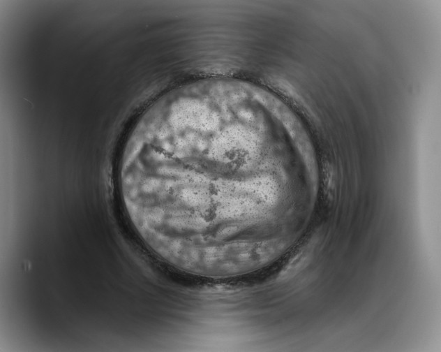 X0000089680634200707201700