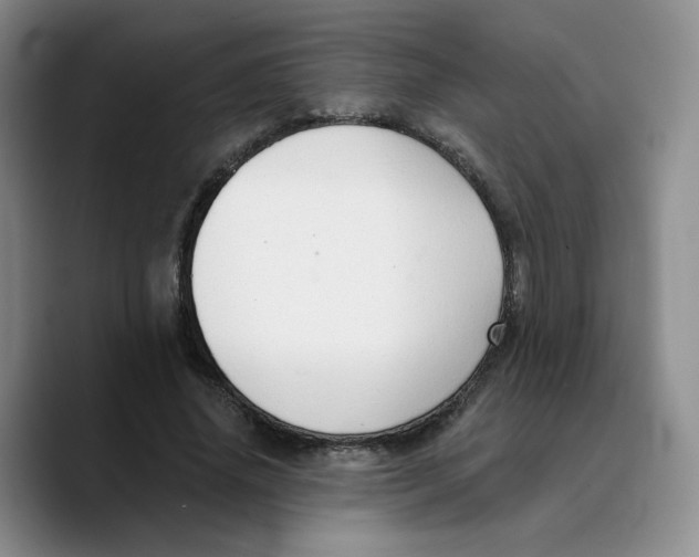 X0000089680636200707201700