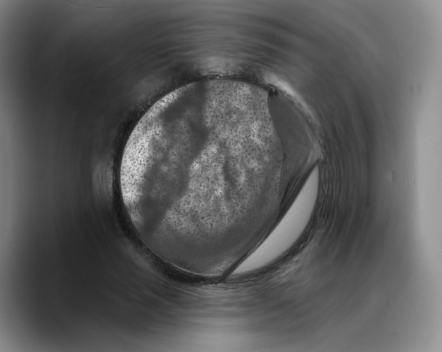 X0000089680637200707201700