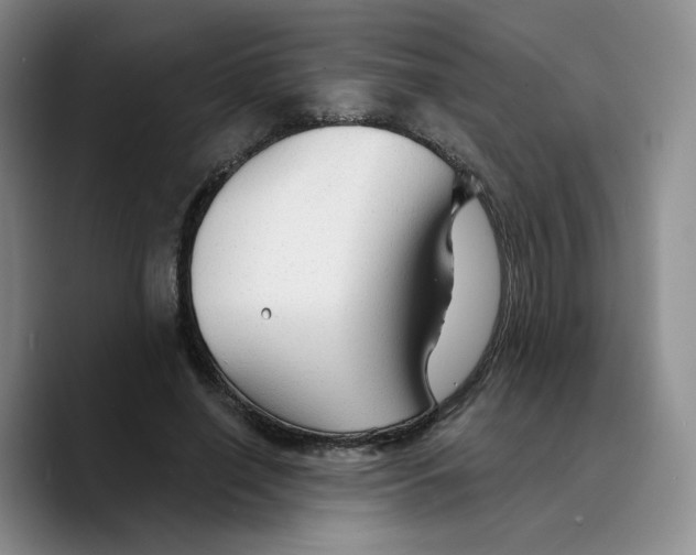 X0000089680638200707201700