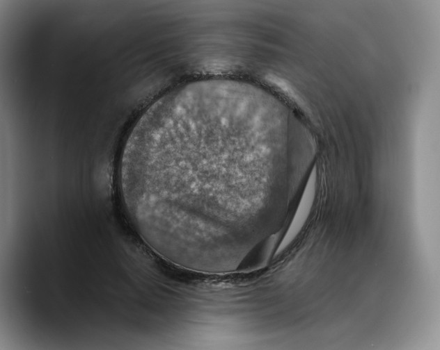 X0000089680640200707201701