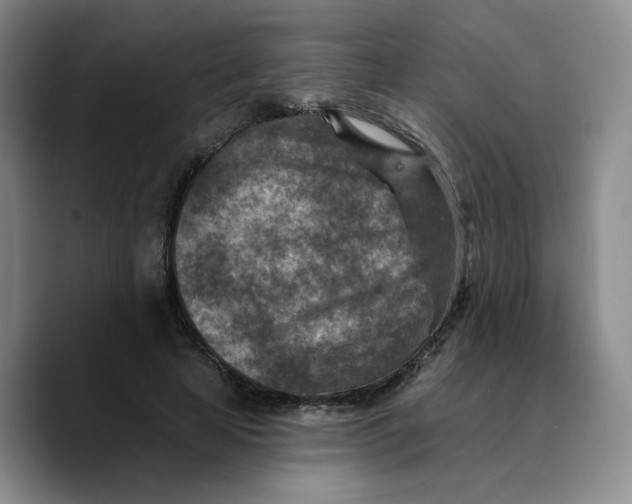 X0000089680641200707201701