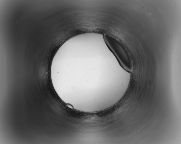 X0000089680642200707201701
