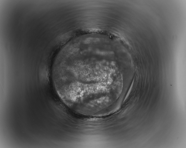 X0000089680643200707201701