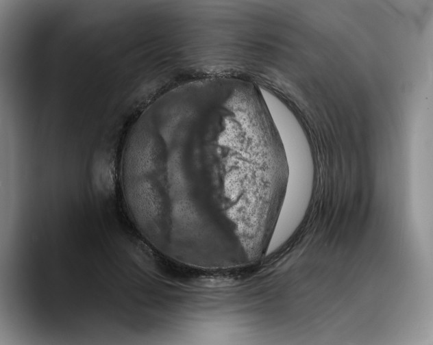 X0000089680644200707201701