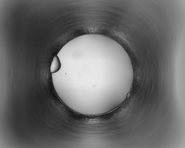 X0000089680645200707201701