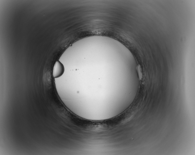 X0000089680646200707201701