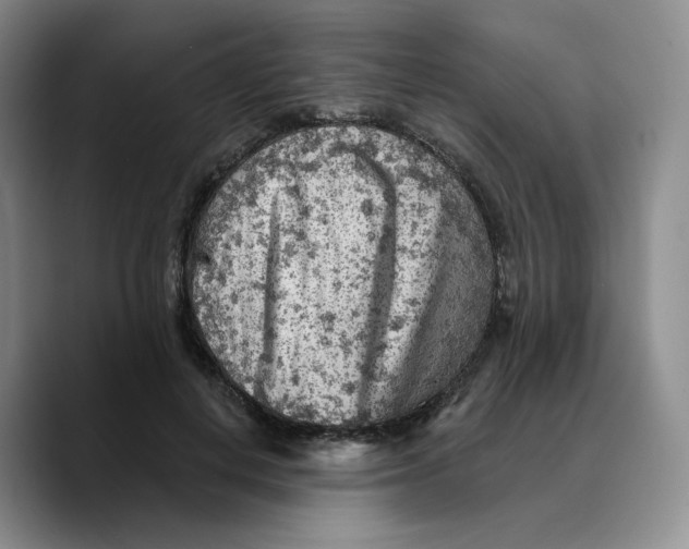 X0000089680648200707201701
