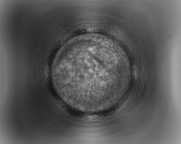 X0000089680650200707201701