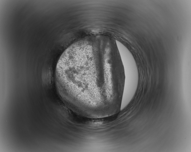 X0000089680651200707201701